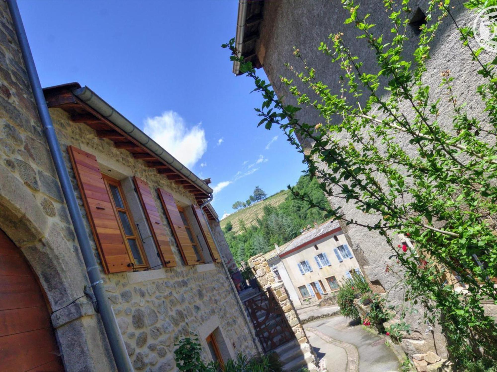 Gite De Charme Avec 2 Terrasses, Au Coeur Du Parc Du Pilat, Confortable Et Equipe - Fr-1-496-40 Malleval Екстериор снимка